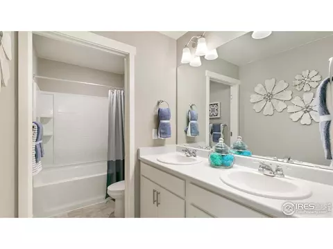 5967 Holstein Dr, Windsor, CO 80528 photo 19
