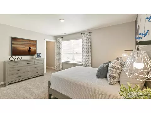 5967 Holstein Dr, Windsor, CO 80528 photo 18