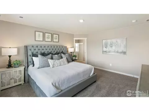 5967 Holstein Dr, Windsor, CO 80528 photo 14