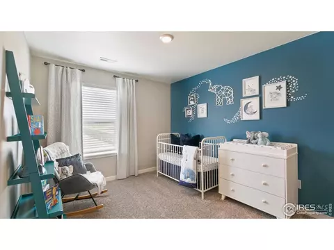 5967 Holstein Dr, Windsor, CO 80528 photo 20