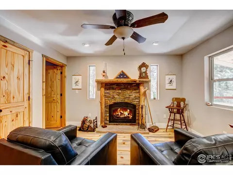 Living - 972 Aspen Dr, Lyons, CO 80540 photo 5 of 5