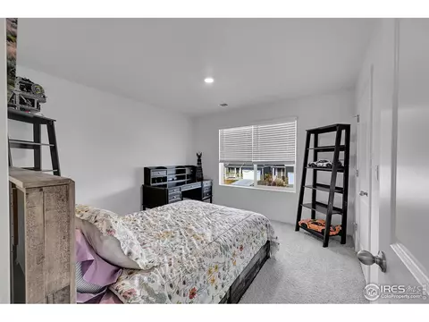 Bedroom - 811 Elias Tarn Dr, Severance, CO 80550 photo 1 of 10