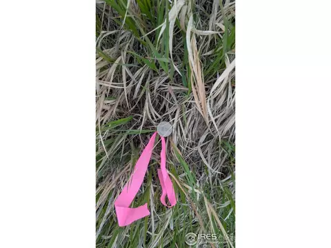 1191 Eiger Rd, Livermore, CO 80536 photo 13