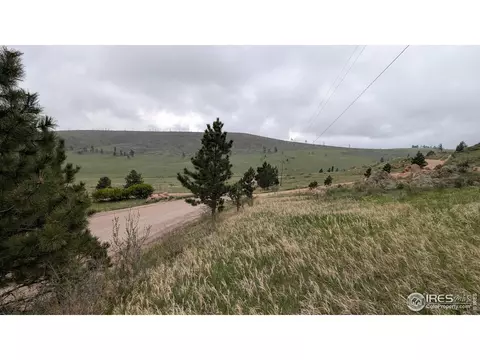 1191 Eiger Rd, Livermore, CO 80536 photo 15