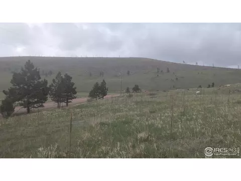 1191 Eiger Rd, Livermore, CO 80536 photo 9