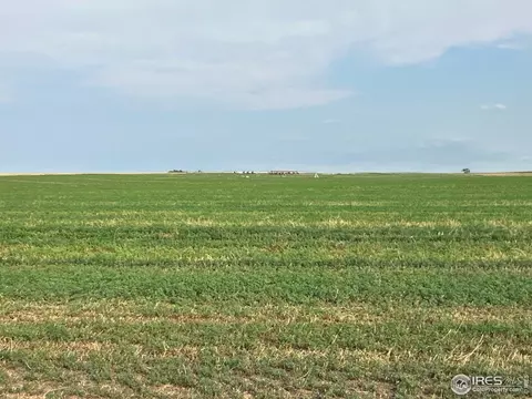 Undisclosed, Cope, CO 80812 photo 15