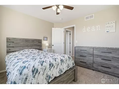 1102 Tur St, Severance, CO 80550 photo 33