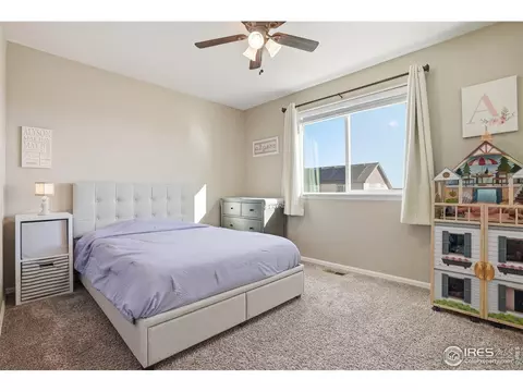 1102 Tur St, Severance, CO 80550 photo 35