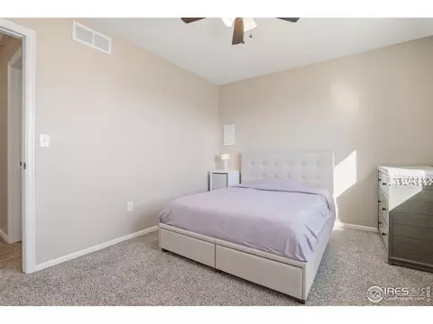 1102 Tur St, Severance, CO 80550 photo 36