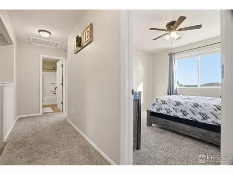 1102 Tur St, Severance, CO 80550 photo 34