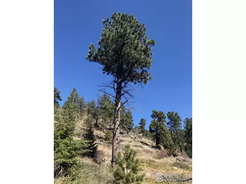 0 Good Friday Rd, Boulder, CO 80302