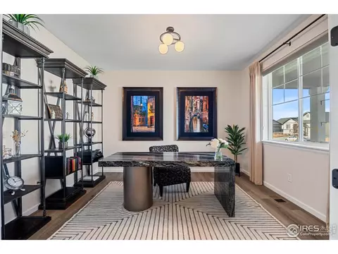 Other - 951 Rustling St, Windsor, CO 80550 photo 1 of 9