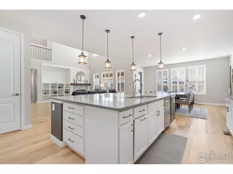 2883 Storm View Ct, Timnath, CO 80547