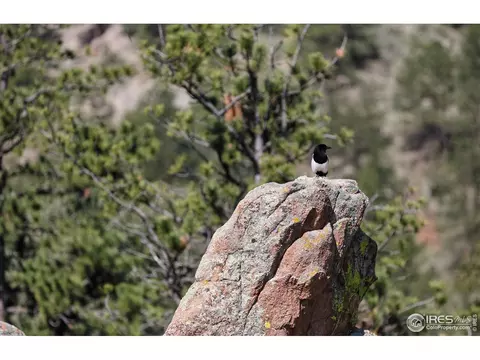 Other - 187 Wichita Rd, Lyons, CO 80540 photo 7 of 13