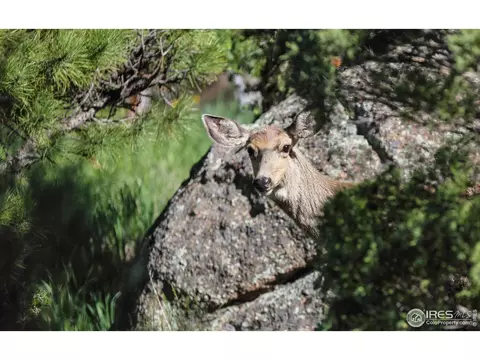 Other - 187 Wichita Rd, Lyons, CO 80540 photo 5 of 13