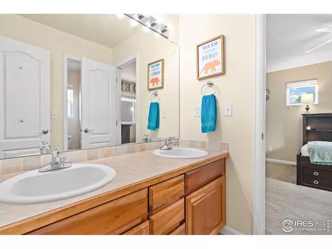 Bath - 8119 Lighthouse Ln, Windsor, CO 80528 photo 4 of 5