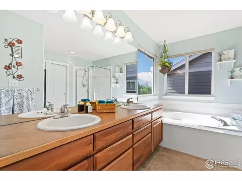 Bath - 8119 Lighthouse Ln, Windsor, CO 80528 photo 3 of 5