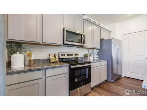 5968 Holstein Dr, Windsor, CO 80528 photo 8