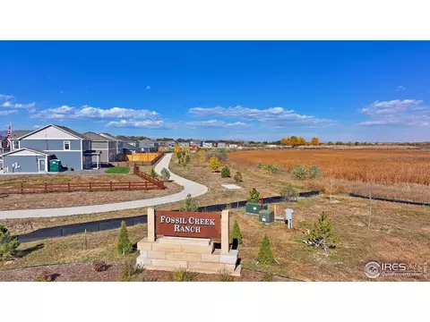 5968 Holstein Dr, Windsor, CO 80528 photo 21