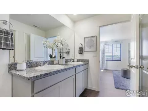 5968 Holstein Dr, Windsor, CO 80528 photo 11