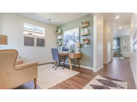 5968 Holstein Dr, Windsor, CO 80528 photo 3