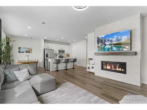1049 Urial Dr, Severance, CO 80550