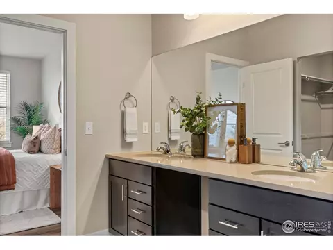 Bath - 6752 Castello St, Timnath, CO 80547 photo 3 of 5