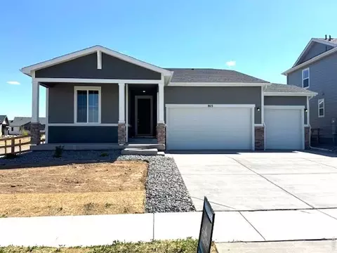 803 Mesic Ln, Windsor, CO 80550