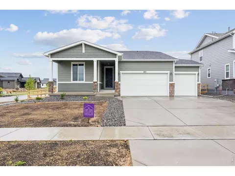 803 Mesic Ln, Windsor, CO 80550