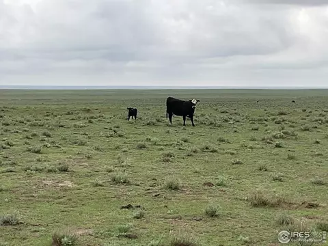 0 Hwy, Kit Carson, CO 80825 photo 4