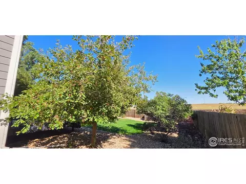 Exterior - 11392 Ebony St, Firestone, CO 80504 photo 3 of 8