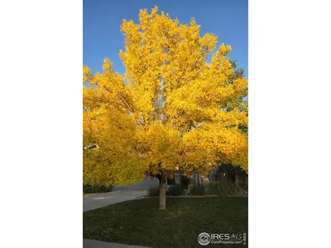 Other - 11392 Ebony St, Firestone, CO 80504 photo 5 of 7