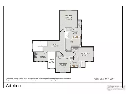 1912 Trilling Dr, Windsor, CO 80550 photo 3