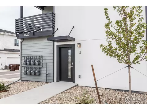 Other - 2120 Falling Leaf Dr #1, Windsor, CO 80550 photo 2 of 6