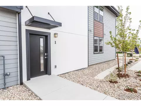 Other - 2120 Falling Leaf Dr #1, Windsor, CO 80550 photo 3 of 6