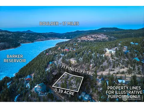 71 Pinecliff Trl, Nederland, CO 80466