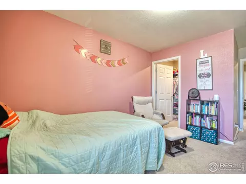909 Charlton Dr, Windsor, CO 80550 photo 16