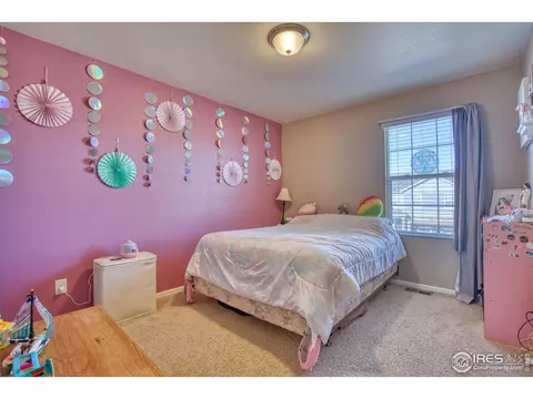909 Charlton Dr, Windsor, CO 80550 photo 13