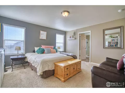 909 Charlton Dr, Windsor, CO 80550 photo 18