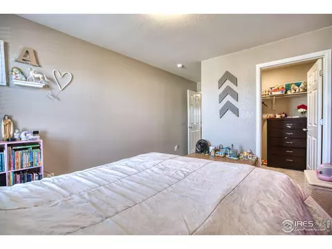 909 Charlton Dr, Windsor, CO 80550 photo 14