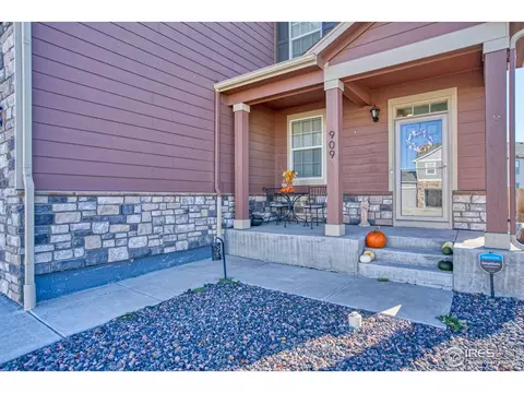 909 Charlton Dr, Windsor, CO 80550 photo 27