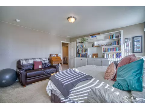 909 Charlton Dr, Windsor, CO 80550 photo 20