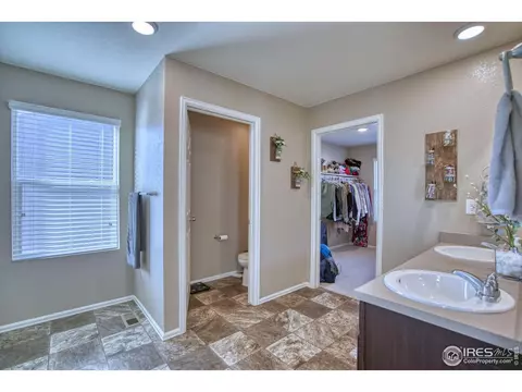 909 Charlton Dr, Windsor, CO 80550 photo 22