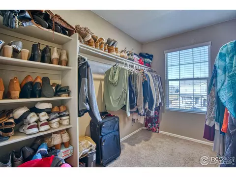 909 Charlton Dr, Windsor, CO 80550 photo 24