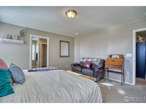 909 Charlton Dr, Windsor, CO 80550 photo 19