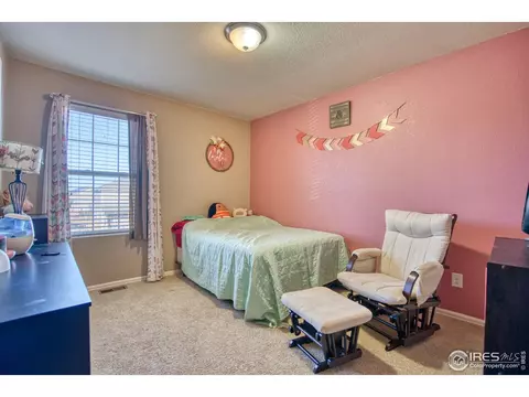 909 Charlton Dr, Windsor, CO 80550 photo 15