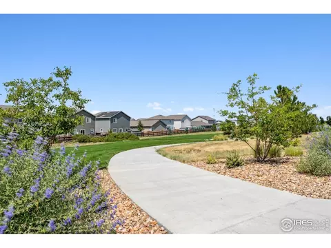 7414 Green River Ave, Frederick, CO 80530 photo 18