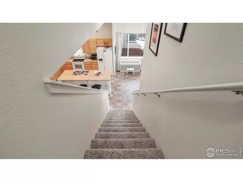 Entry Way - 2304 Sublime Dr, Windsor, CO 80550 photo 2 of 2