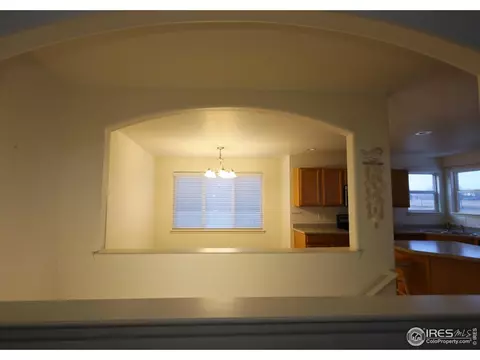 Other - 542 Cherryridge Dr, Windsor, CO 80550 photo 4 of 17