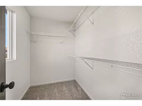 Other - 147 Crabapple Dr, Windsor, CO 80550 photo 6 of 8